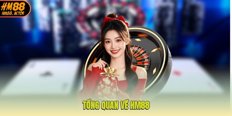  Tổng quan về giới thiệu HM88